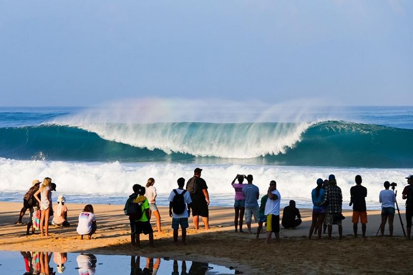 hawaii surf vans